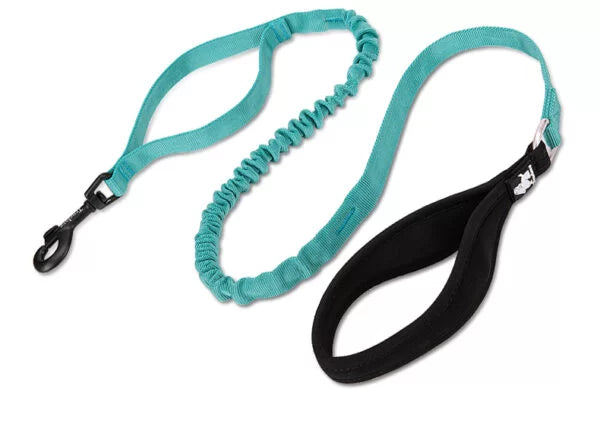 TrueLove Durable Bungee Dog Leash TLL2281