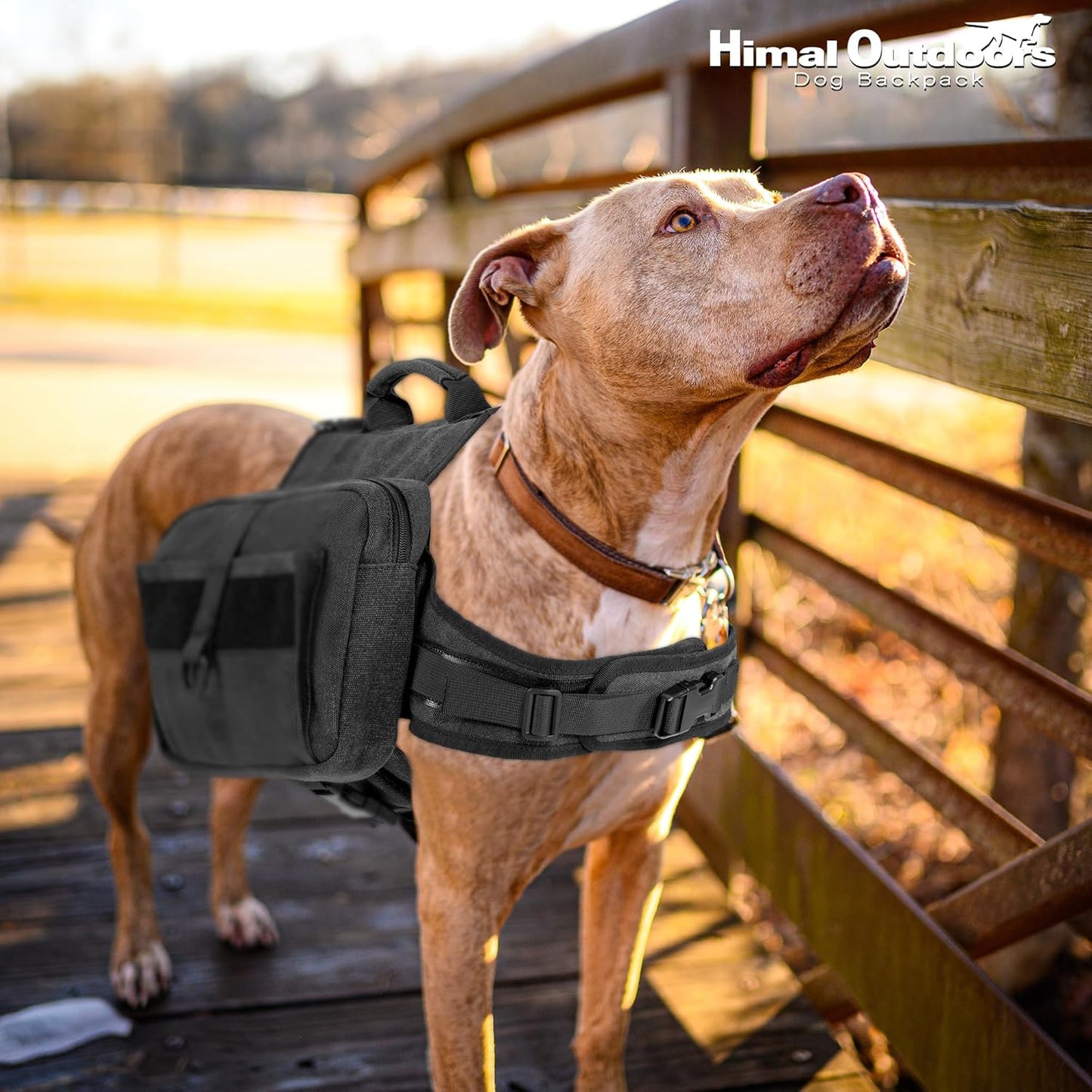 Dog Backpack & Saddle Bag, Tactical Hiking Backpack for Large Dogs with Side Pockets & Adjustable Strap