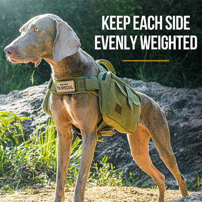 Dog Pack Hound Travel Camping Hiking Backpack Saddle Bag Rucksack for Medium & Large Dog (Ranger Green, Large)