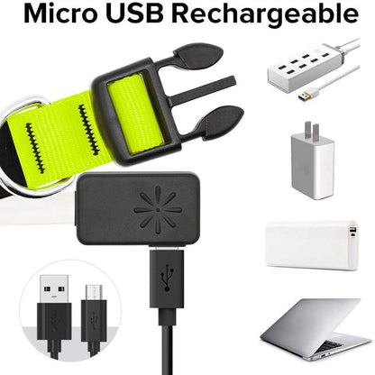 Led Lighted up Dog Collar Flashing 100% Waterproof USB Rechargeable Pet Dog Safety Collar Glow in the Dark Light-Up Neck Loop GREEN(14.56IN-18.11IN)
