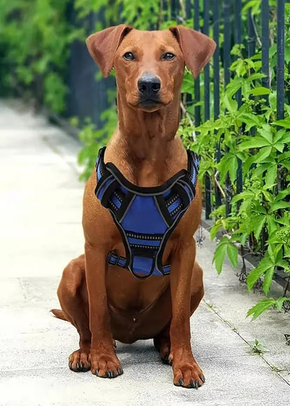 Dog Harness Strap Set, Car Seat Belt, Collapsible Bowl, Biodegradable Trash Bag Set For Dogs
