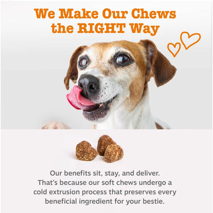 Probiotic Bites for Dogs, Pumpkin Flavor, 60 Count