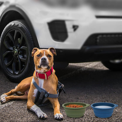 2-Pack Collapsible Dog Bowls with Integrated Molding, No Plastic Rim Pet Feeding Solutions for Travel and Outdoor Activities, 600ml (Navy Blue and Dark Green)