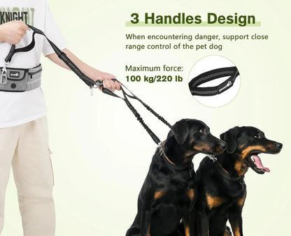 Hands Free Dog Leash Dual Bungee Adjustable Waist Belt Running Walking