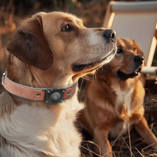 Leather AirTag Dog Collar with Built-In Holder, Reflective Adjustable Design