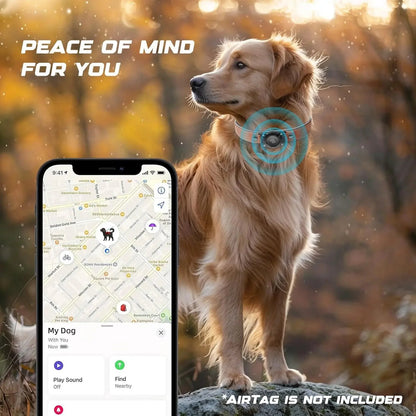 Leather AirTag Dog Collar - Elegant Design with Built-In Holder for Enhanced Pet Safety