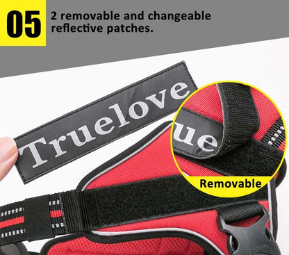 TrueLove Outdoor Adventure Dog Harness  Model Number: TLH5753