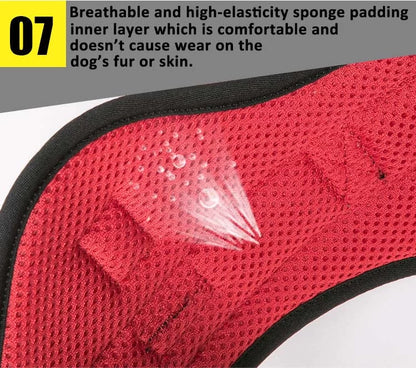 TrueLove Outdoor Adventure Dog Harness  Model Number: TLH5753