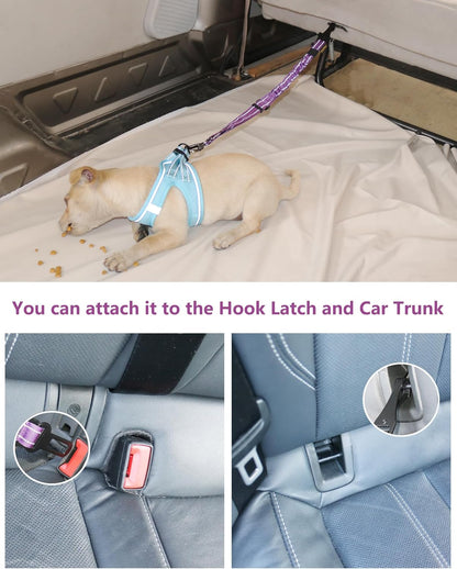 Dog Seat Belt for Car,Updated 3-In-1 Adjustable Reflective Bungee Heavy Duty Dog Car Harness Tether with Clip Hook Latch & Buckle,Swivel Zinc Alloy Carabiner,Purple