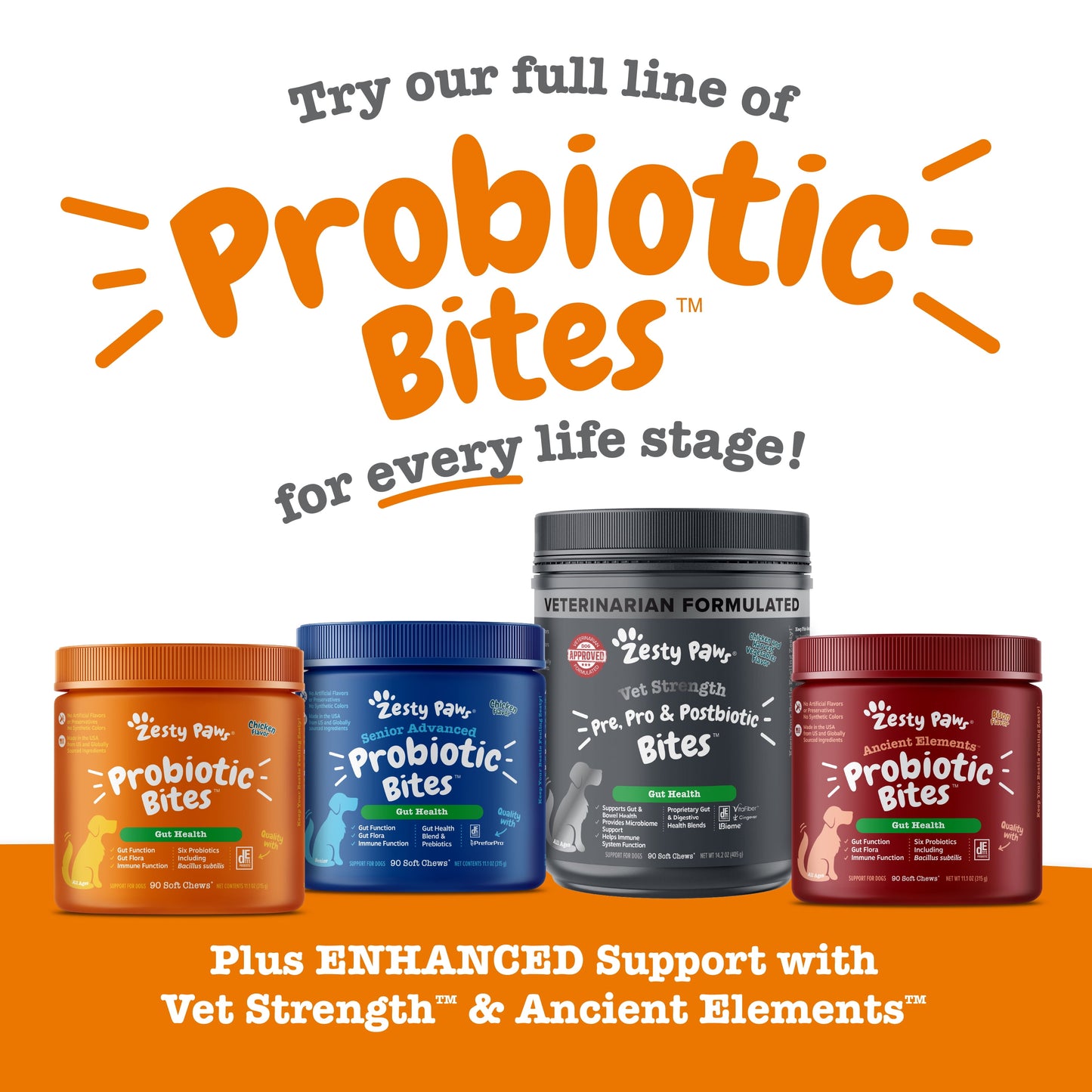 Probiotic Bites for Dogs, Pumpkin Flavor, 60 Count