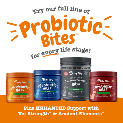 Probiotic Bites for Dogs, Pumpkin Flavor, 60 Count