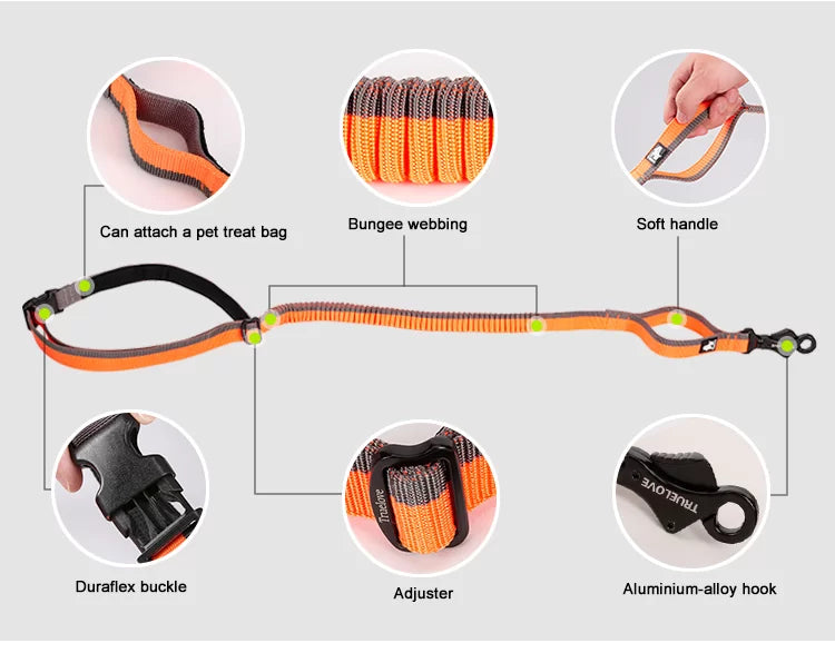 TrueLove Nylon Bungee Dog Leash TLL2271