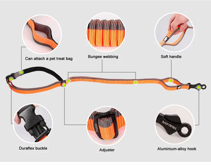TrueLove Nylon Bungee Dog Leash TLL2271