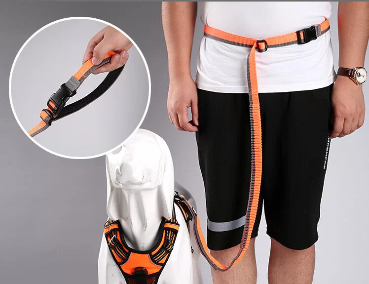 TrueLove Nylon Bungee Dog Leash TLL2271