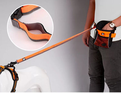 TrueLove Nylon Bungee Dog Leash TLL2271