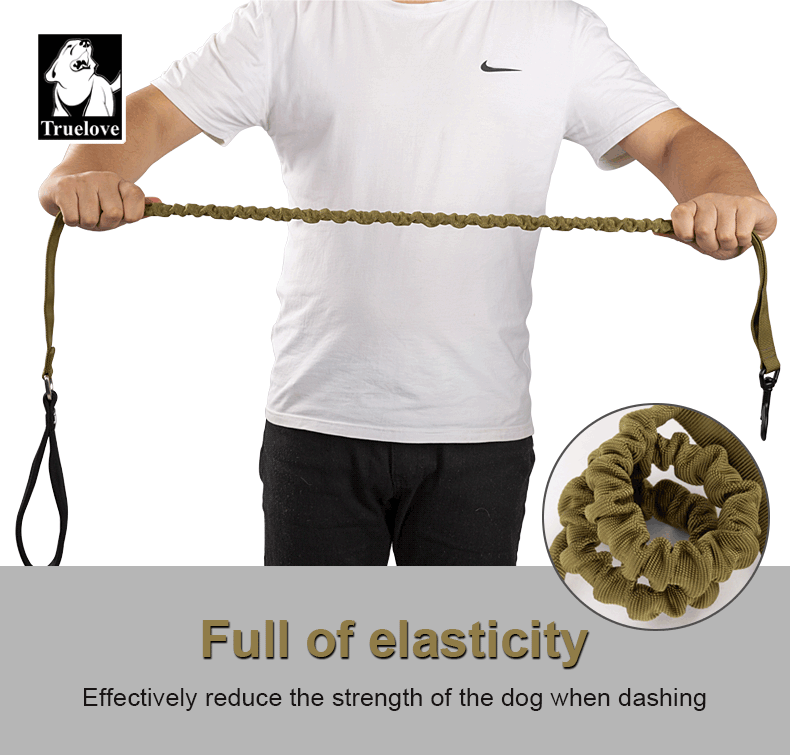 TrueLove Durable Bungee Dog Leash TLL2281