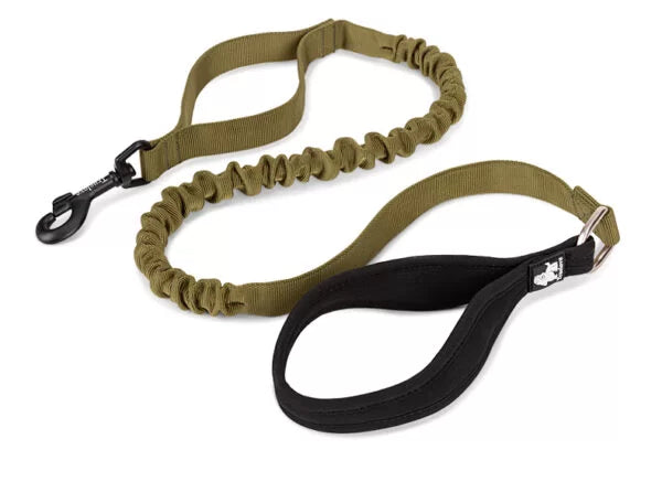TrueLove Durable Bungee Dog Leash TLL2281