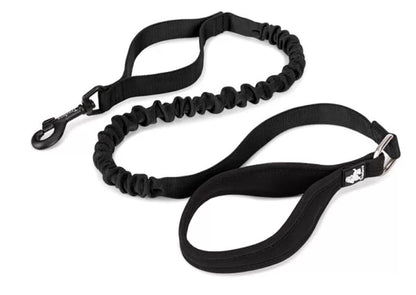 TrueLove Durable Bungee Dog Leash TLL2281