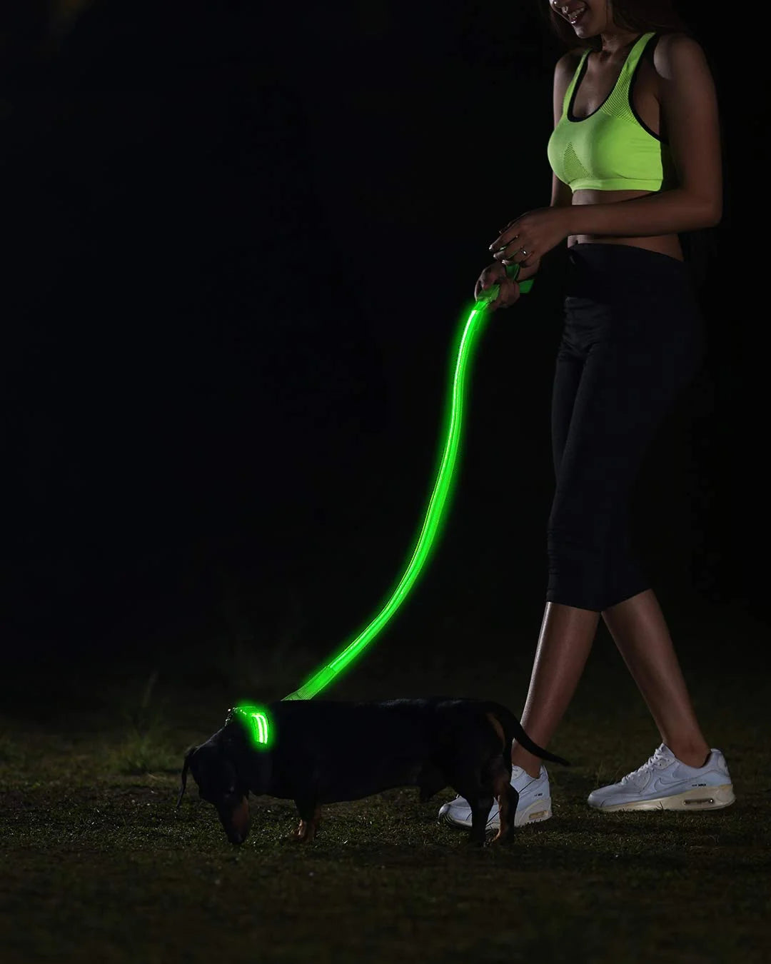 Led Lighted up Dog Collar Flashing 100% Waterproof USB Rechargeable Pet Dog Safety Collar Glow in the Dark Light-Up Neck Loop GREEN(14.56IN-18.11IN)