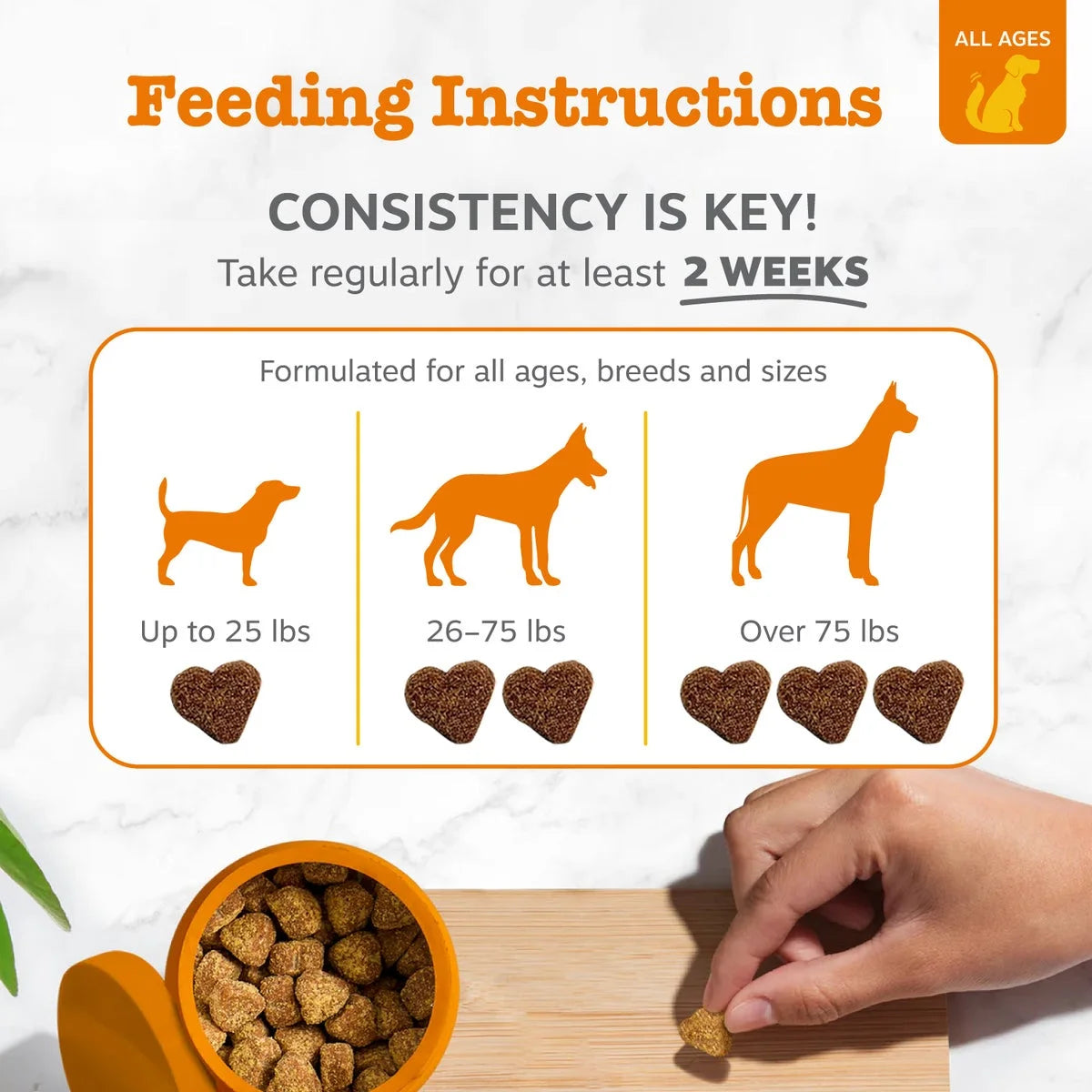 Probiotic Bites for Dogs, Pumpkin Flavor, 60 Count