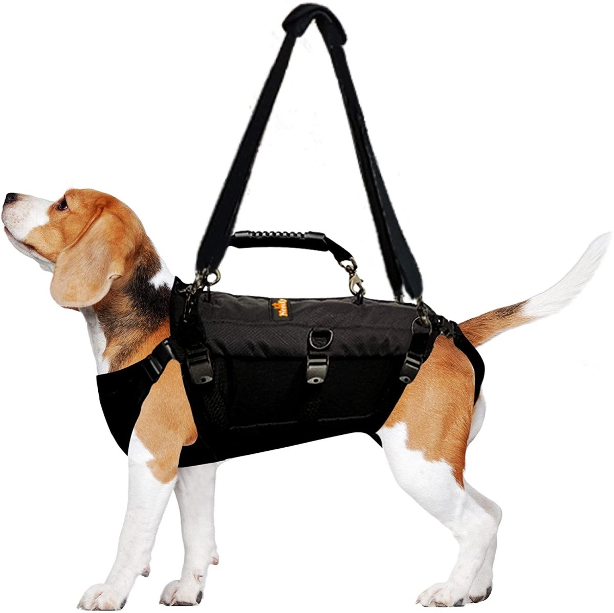 NeoAlly 5-in-1 Sturdy Dog Lift Harness Full Body Support – Nicco Adventures