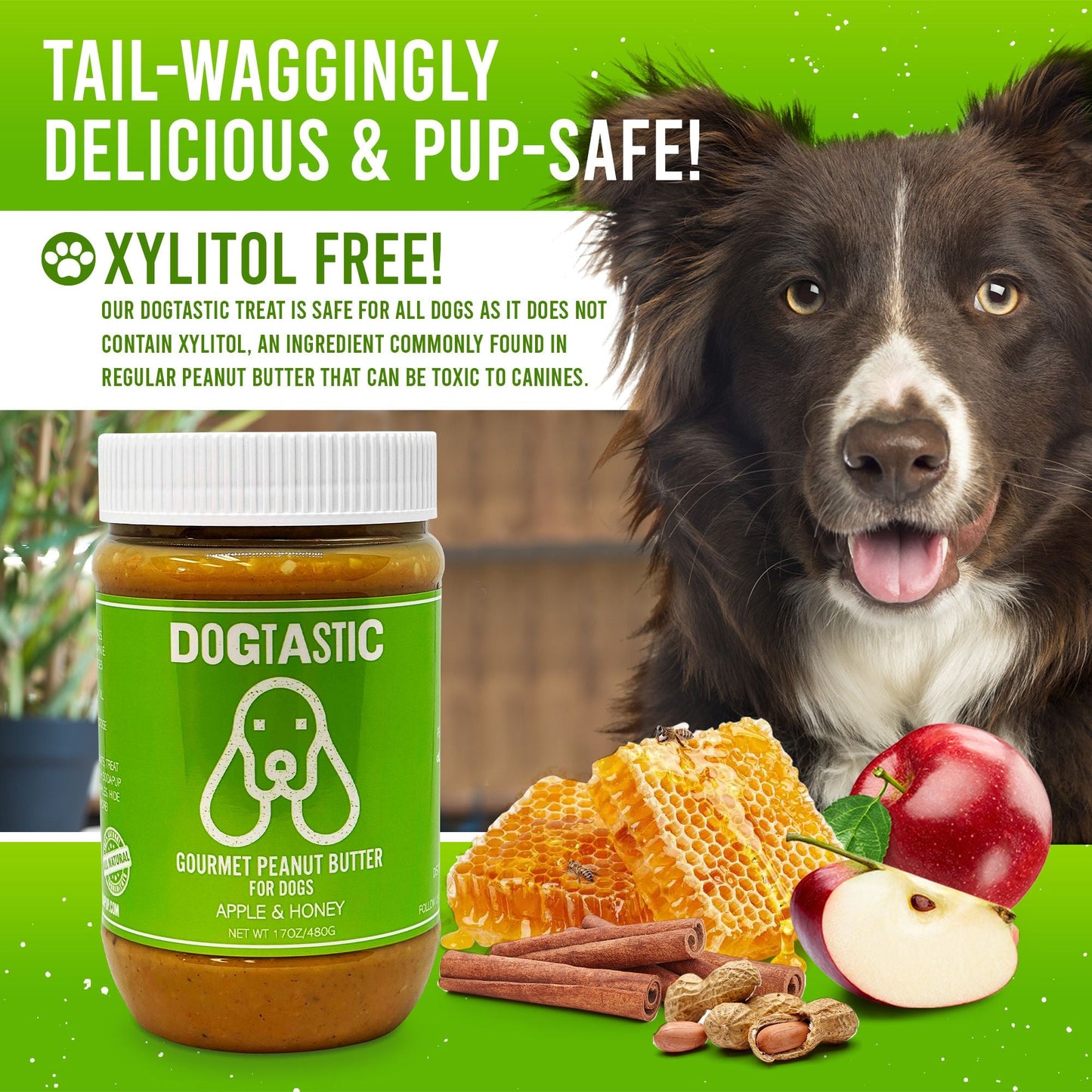 Dogtastic Peanut Butter for Dogs with Flax Seed - Xylitol-Free | USA Made - 50% off